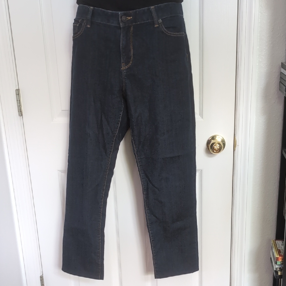 LOFT Classic Blue Denim Jeans
